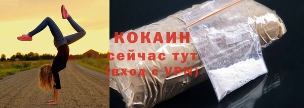 apvp Алексин